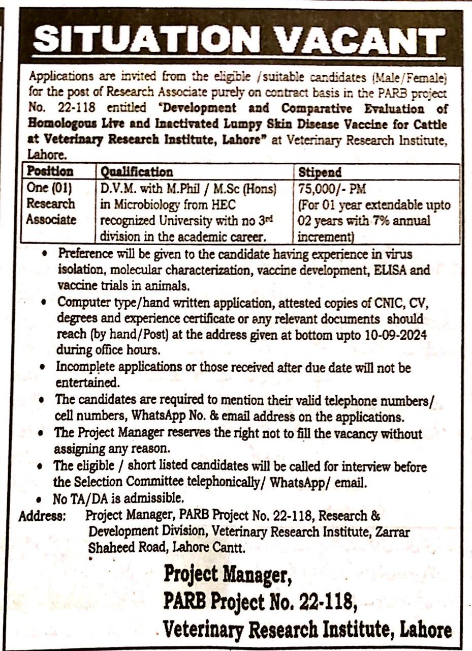Research Associate